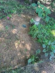 LawnScape