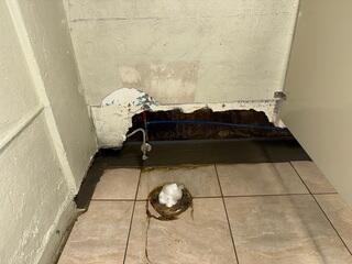 WaterGuard Drainage System