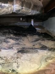 During the crawl space inspection, mud is visible on the vapor barrier and water lines on the concrete block wall. This is a customer the had crawl spacks jacks installed a few years ago to support the structure. Now they are ready to fully encapsulate the crawl space.