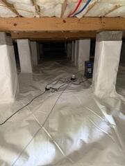 SaniDry Dehumidifier