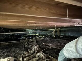Restoring Stability: SmartJack Solutions for Sagging Floors in Jacksonville, FL