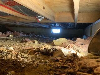 Unstable Crawl Space