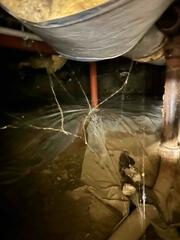 The crawl space is dark and scary. Nobody would want to go in there.