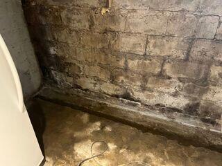 Dégâts dus à la moisissure et à l'humidité sur un mur de sous-sol
