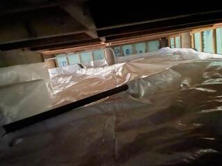 New CleanSpace