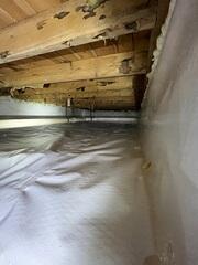 New CleanSpace & SprayFoam