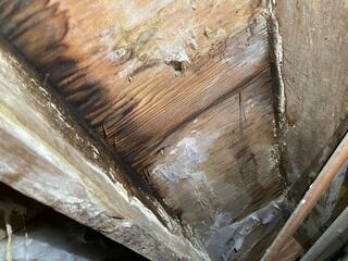 This crawlspace had been suffering from high humidity for so long, the subfloor had lost all integrity