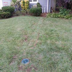LawnScape