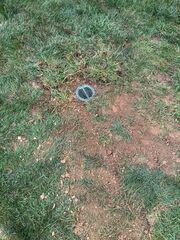 LawnScape