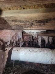 Moldy Crawl Space