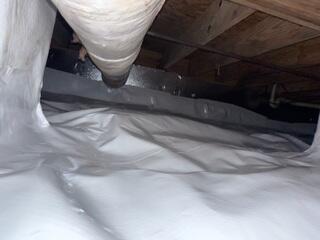 CleanSpace and SilverGlo