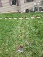 LawnScape