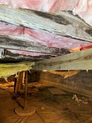 Wood Rot in Crawl Space in Hamersville, OH