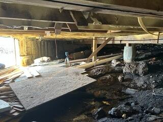 Crawlspace - Before