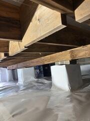 New CleanSpace