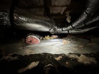 Crawl Space Encapsulation in Tallahassee, FL