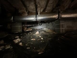Crawl Space Encapsulation in Tallahassee, FL