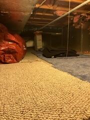 Wet Crawl Space