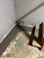 WaterGuard System