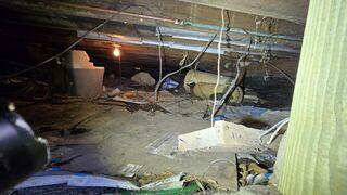 Crawl Space