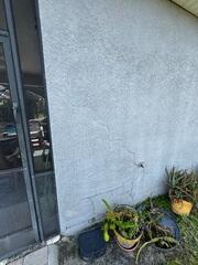 Exterior Wall Cracks
