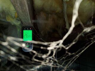 Normally, wood moisture content of a crawlspace joist is 10-16%. Anything over 20% is problematic over time and this crawlspace fits into that category.