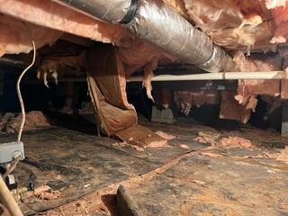 Complete Structural & Crawl Space Transformation in Hurdle Mills, NC