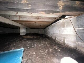 Before any work began, we thoroughly inspected the crawl space of this Jacksonville home. The area showed clear signs of uneven flooring and aging supports. The soil was loose and moisture-exposed, putting strain on the wooden framing above. Proper reinforcement was necessary to protect the structure and restore stability.
