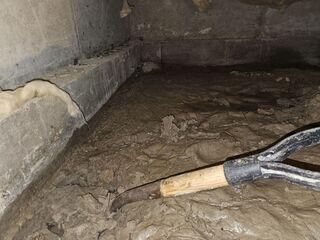 Muddy Floors