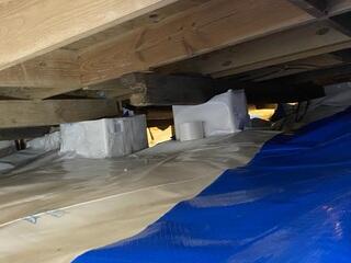 Installing CleanSpace