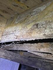 Moldy and Rotted Crawl Space Wood