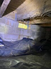 Nasty Crawl Space Wood