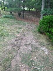 Discharge Line
