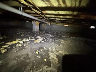 An LRE Design Specialist conducted a thorough inspection of the homeowner's crawl space to assess its condition after recent heavy flooding.