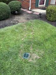 LawnScape