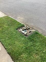 LawnScape