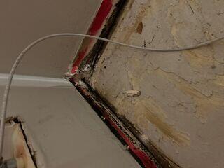 Subfloor Damage and Mold Growth