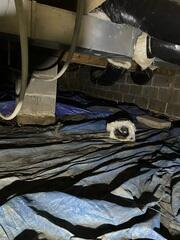 Before, the crawl space was dark, scary, and wet. The humid air in the crawl space will rise to the rest of the house.
