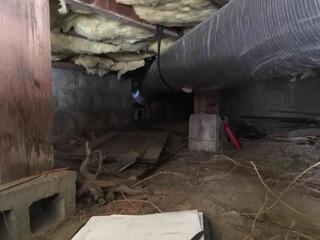 Crawl Space Before Encapsulation and Cleanup