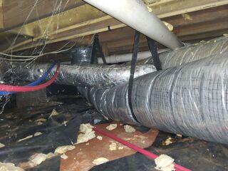 Nasty Crawlspace
