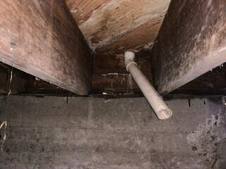 Wet Crawl Space Wood