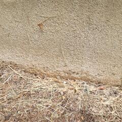 Treatments Are Then Shared