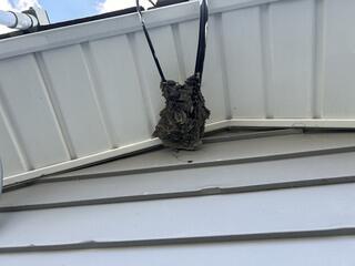 Both Treatments are Effective