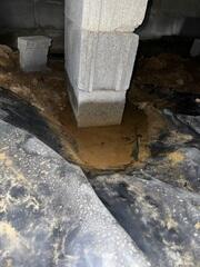 Standing Water Signals Trouble