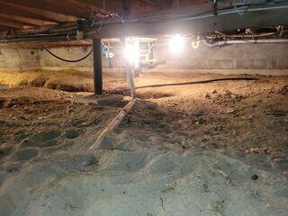 Crawl Space - Before