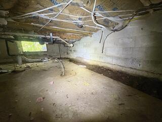 Crawl Space - Before