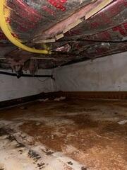 Damp Crawl Space