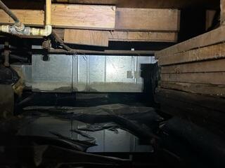 Stacks of Wood