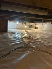 New CleanSpace