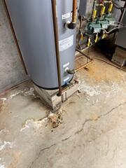 Basement - Before
